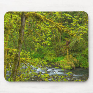 Mossy Rocks And Trees Line Eagle Creek Mouse Pad