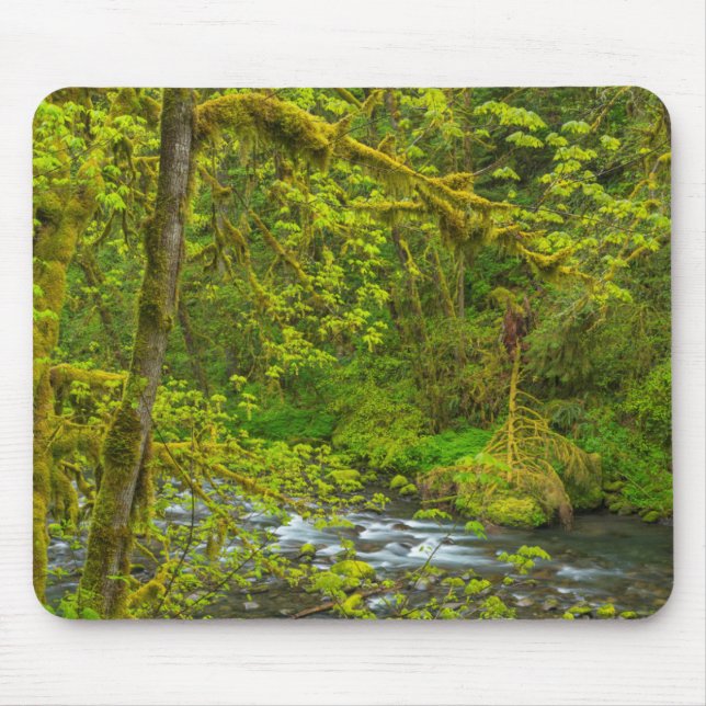 Mossy Rocks And Trees Line Eagle Creek Mouse Pad (Front)