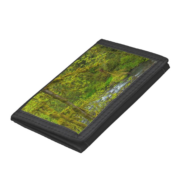 Mossy Rocks And Trees Line Eagle Creek Trifold Wallet (Bottom)