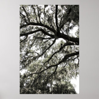 Mossy Textures 1 Poster