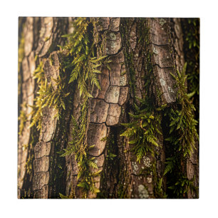 Mossy Tree Bark Forest Texture Ceramic Tile