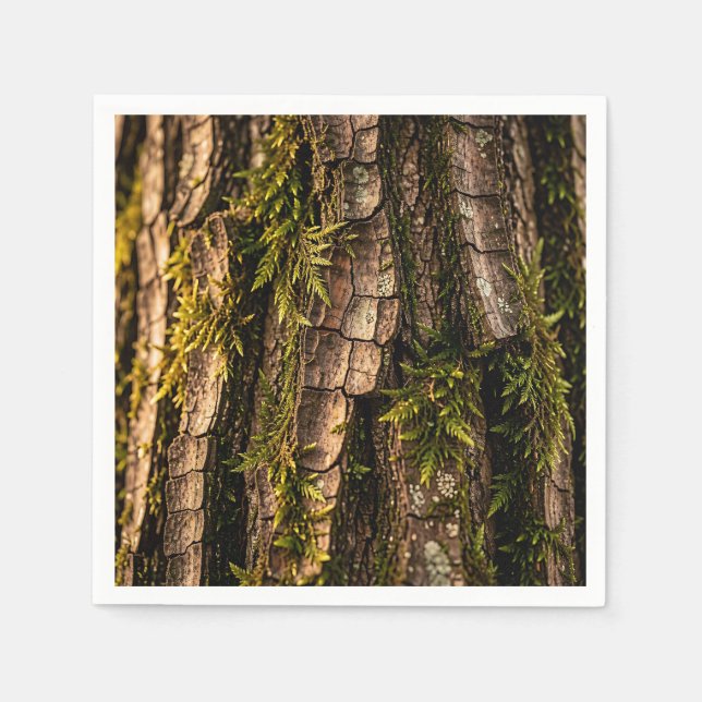  Mossy Tree Bark Forest Texture  Napkins (Front)