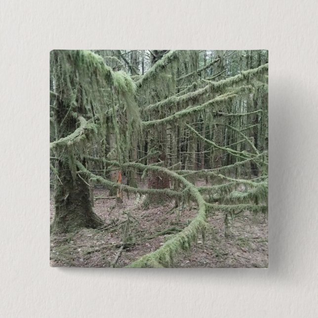 Mossy Trees In Welsh Woodland 2025 Button (Front)
