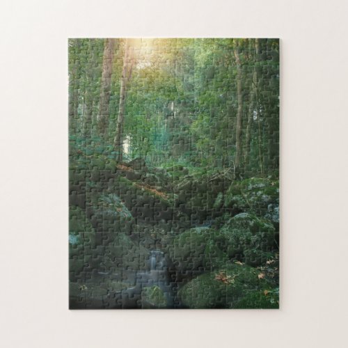 Mossy Woodland Stream Jigsaw Puzzle