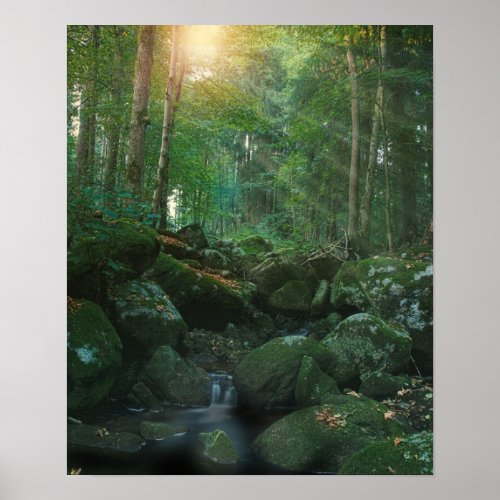 Mossy Woodland Stream Poster