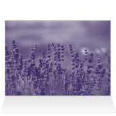 Most Amazing Daughter on Planet Earth (Inside Horizontal (Top))