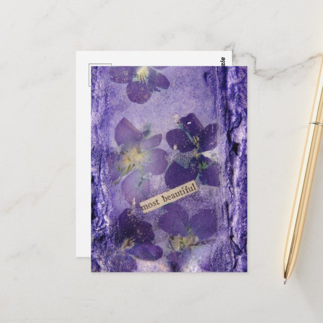 Most Beautiful Purple Violets Collage Postcard (Front/Back In Situ)
