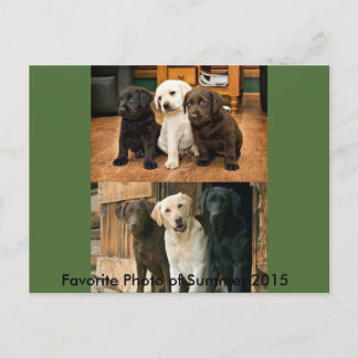 Most Favorite Photo of 2015: Postcard