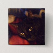 Most Handsome Button