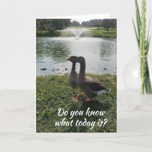 MOST IMPORTANT DAY OF THE YEAR "HAPPY BIRTHDAY" CARD