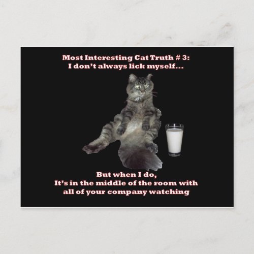 Most Interesting Cat 3jpg Postcard