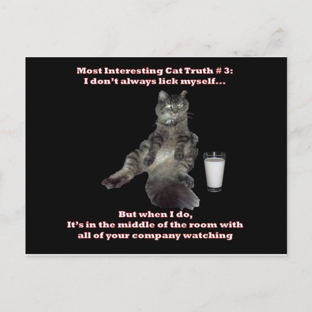 Most Interesting Cat #3.jpg Postcard (Front)