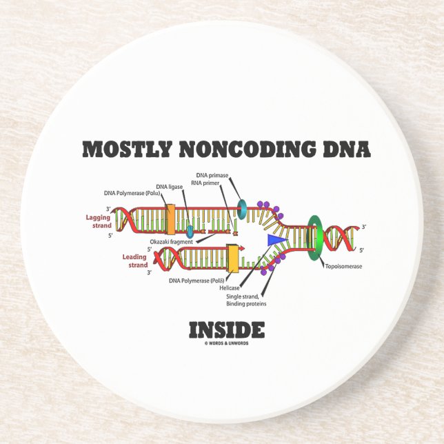 Mostly Noncoding DNA Inside (DNA Replication) Coaster (Front)