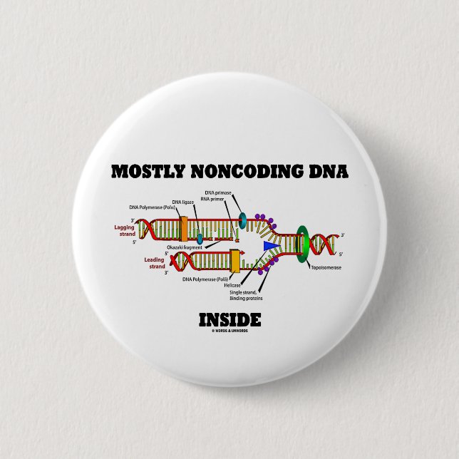 Mostly Noncoding DNA Inside (DNA Replication) Pinback Button (Front)