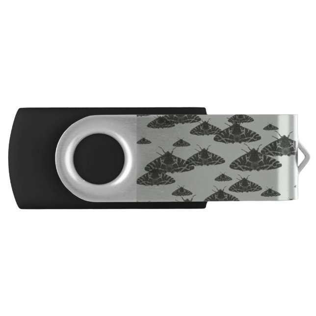 Moth at night lurking in the midnight flash drive (Front)