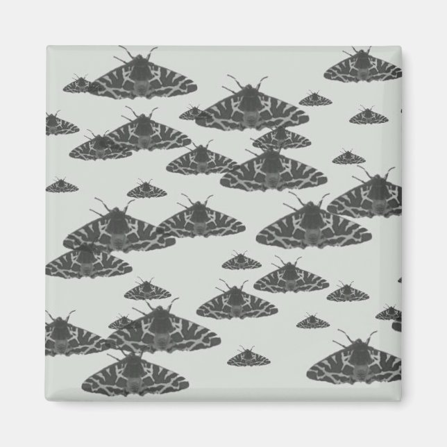 Moth at night lurking in the midnight magnet (Front)