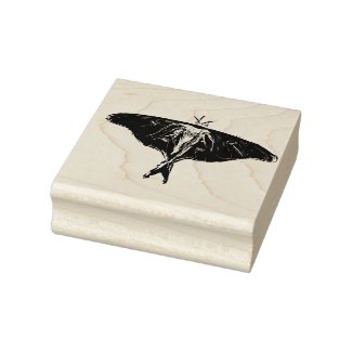 Moth Butterfly 