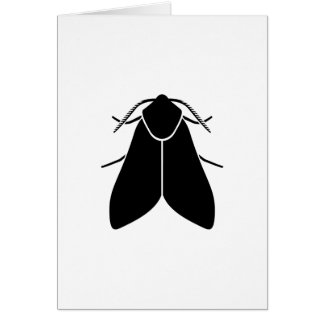 Moth Cards