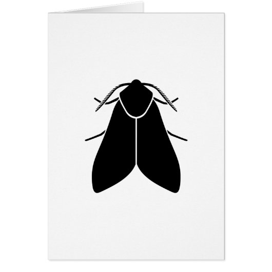 Moth Cards (Front)