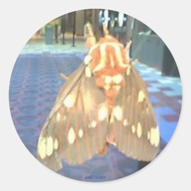 Moth Classic Round Sticker (Front)