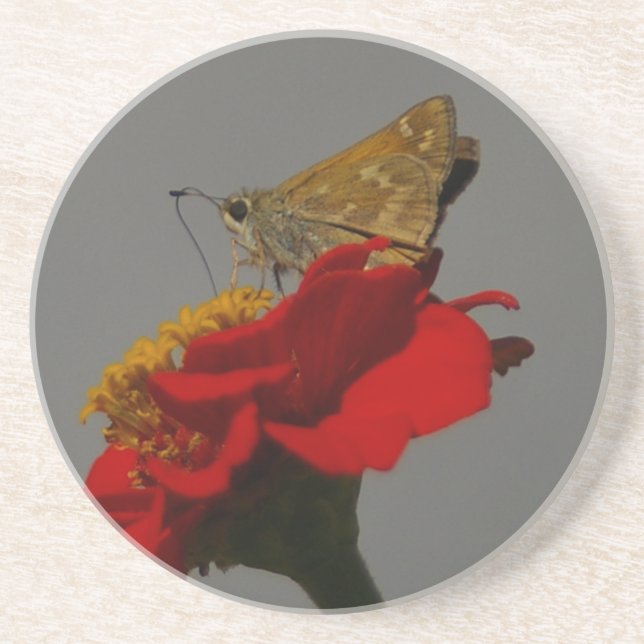 Moth Coaster (Front)