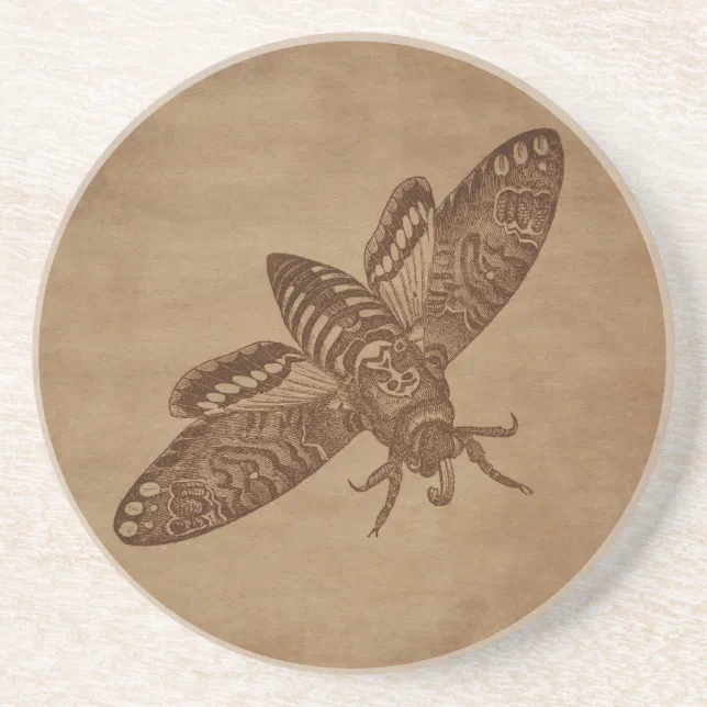 Moth Incarving Moth Engraving on Aged Paper Coaster | Zazzle