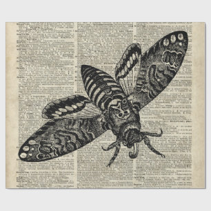 Moth Insect Vintage Illustration on Old Book Page Wrapping Paper