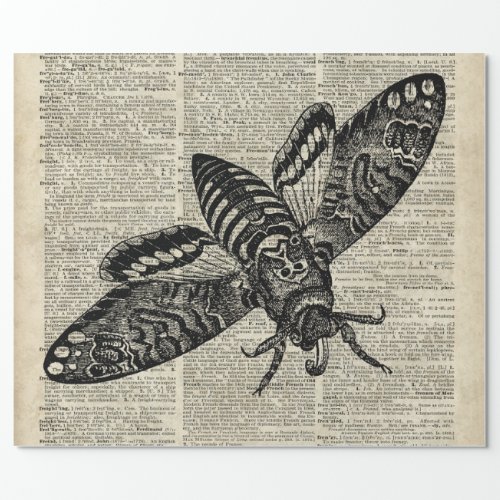 Moth Insect  Vintage Illustration on Old Book Page Wrapping Paper