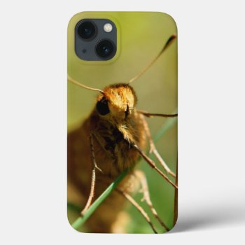 Moth Iphone 6/6s  Tough Xtreme Case by StormythoughtsGifts at Zazzle