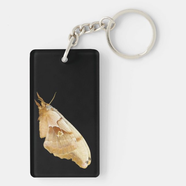 Moth Keychain (Back)