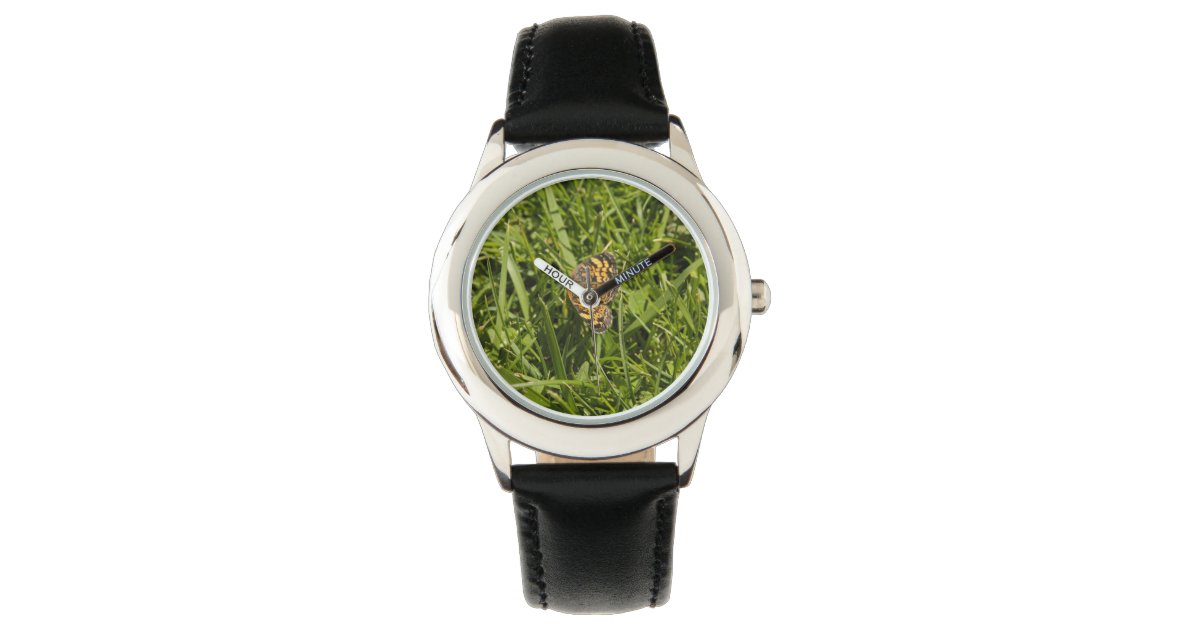 Moth Macro Ewatch Watch Zazzle Com