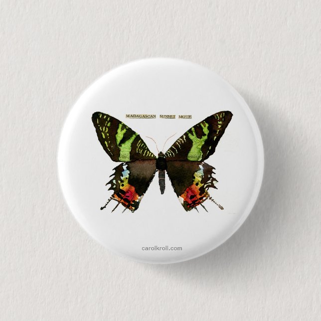 Moth: Madagascan Sunset Moth Pinback Button (Front)