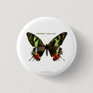 Moth: Madagascan Sunset Moth Pinback Button