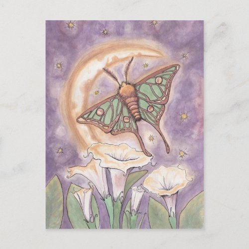 Moth  Moonflowers Postcard