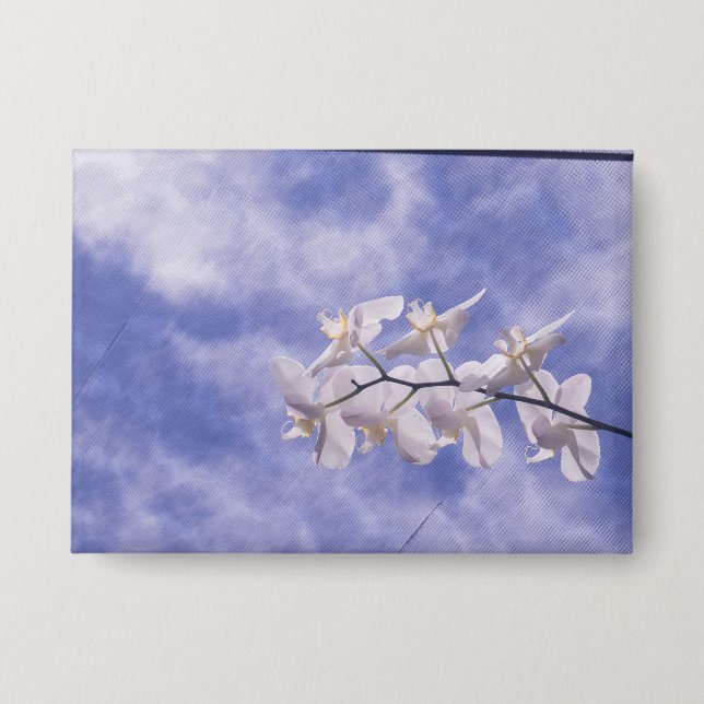 Moth Orchid Button (Front)