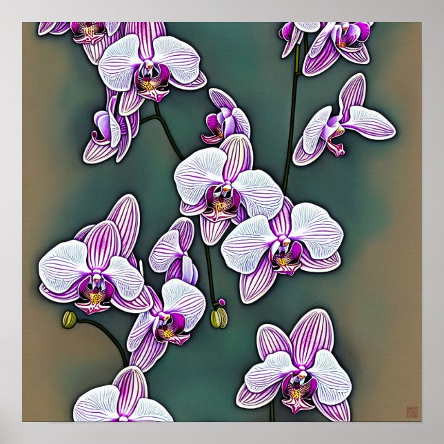 Moth Orchid - Canvas Art Print (Front)