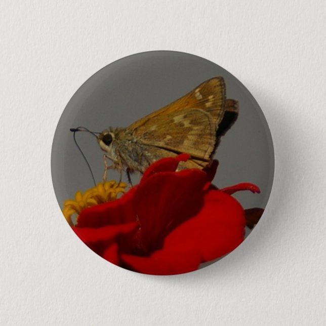 Moth Pinback Button (Front)