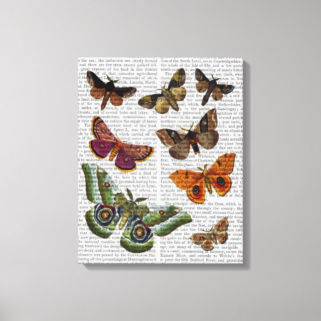 Moth Plate 2 Canvas Print (Front)