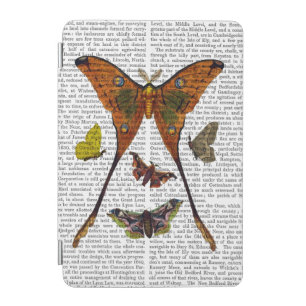 Moth Plate 2 iPad Mini Cover