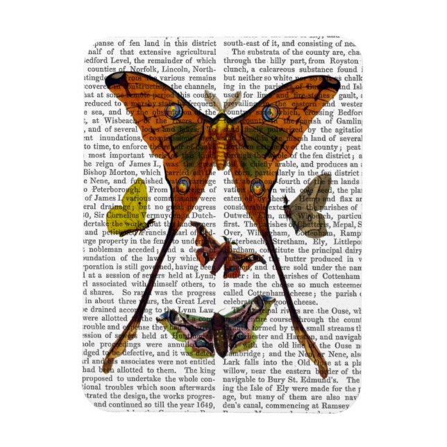 Moth Plate 2 Magnet (Vertical)