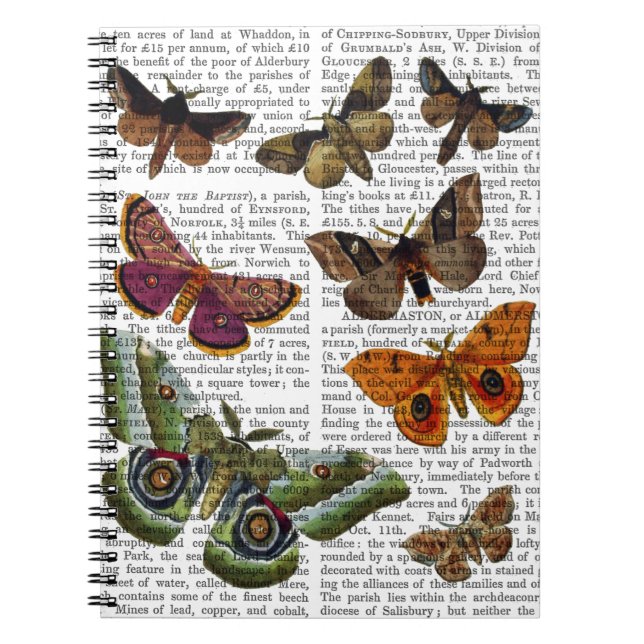 Moth Plate 3 Notebook (Front)