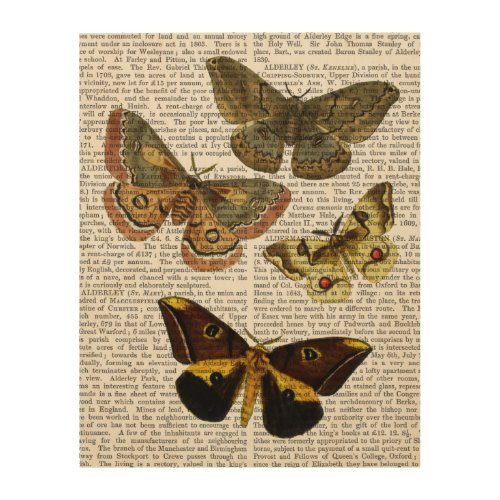 Moth Plate 4 Wood Wall Art