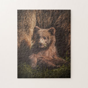 Mother and Baby Animal Bear Photography Animal Jigsaw Puzzle