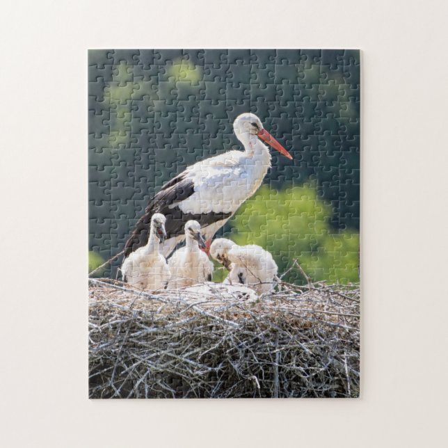 Mother and Baby Animal Bird Photography Animal Jigsaw Puzzle (Vertical)