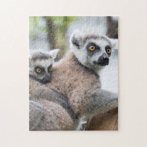 Mother and Baby Animal Lemur Photography Animal Jigsaw Puzzle
