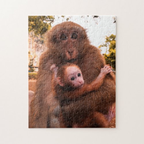Mother and Baby Animal Monkey Photography Animal Jigsaw Puzzle