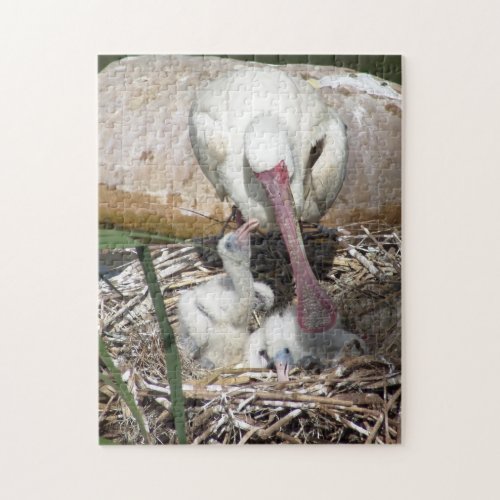 Mother and Baby Birds Jigsaw Puzzle