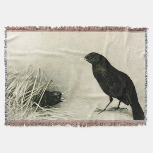 Mother and baby blackbirds throw blanket