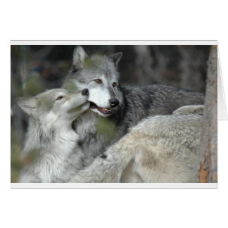 Mother and Baby Cards