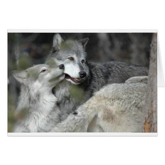 Mother and Baby Cards (Front Horizontal)
